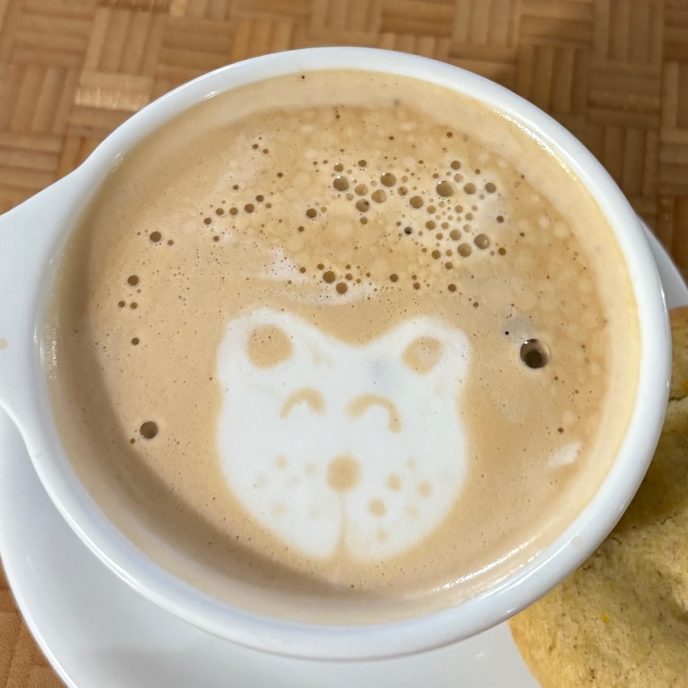 Meet your Posher, Delaney